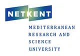 Netkent Üniversitesi