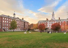 Harvard Üniversitesi