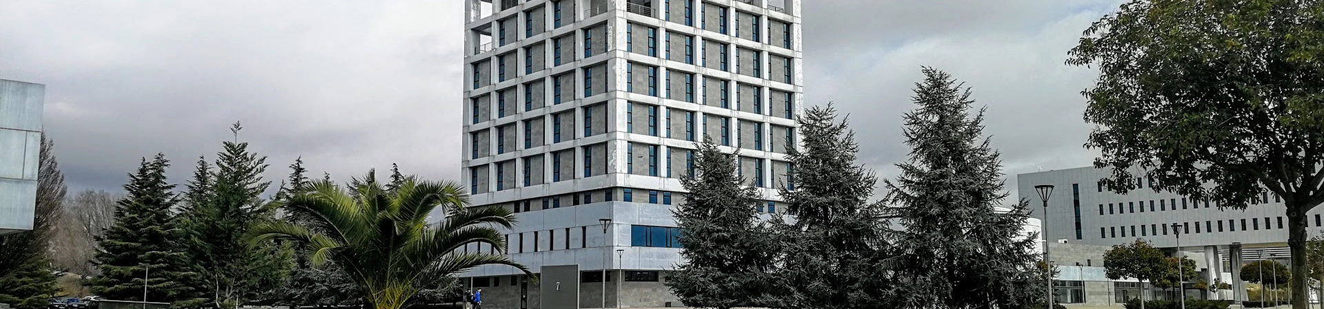 Rey Juan Carlos Üniversitesi