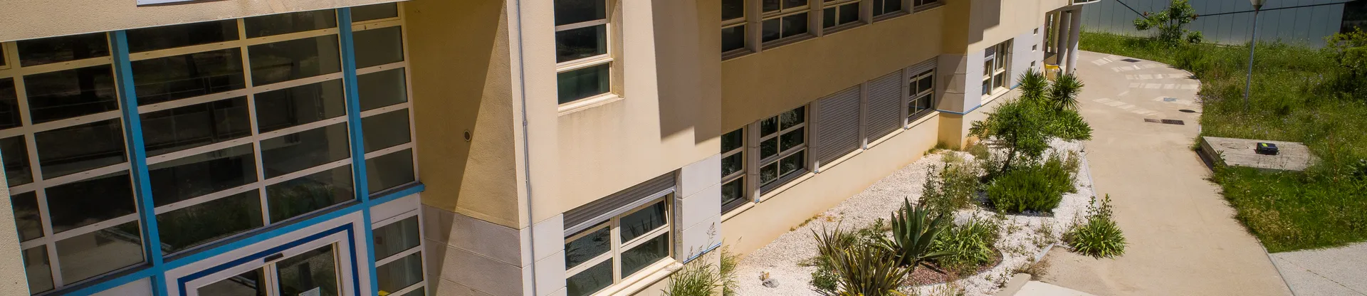 Montpellier Politeknik Üniversitesi