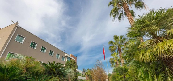 Yaşar Üniversitesi: Öğrenci Toplulukları, Sağlık, Kültür ve Spor Faaliyetleri