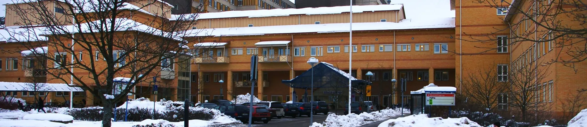 Linköping Üniversitesi
