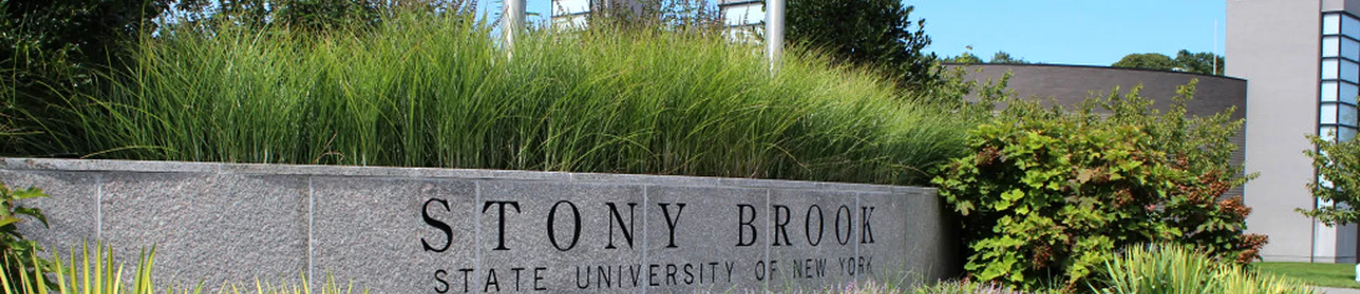 Stony Brook University