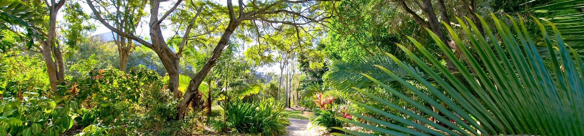 Central Queensland University