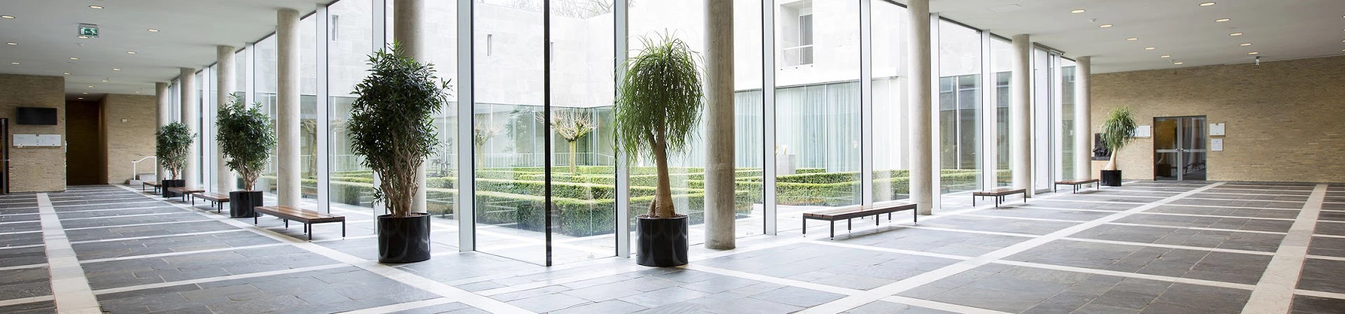 Tilburg Üniversitesi