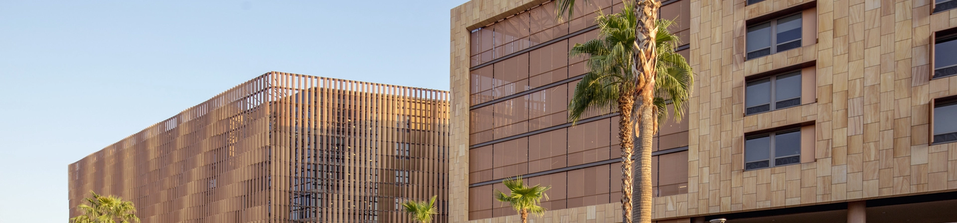 Arizona State University