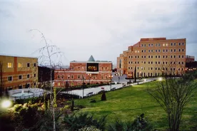Yüksek Lisans Yeditepe Üniversitesi - Türkiye, İstanbul