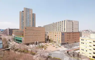 Teikyo Üniversitesi