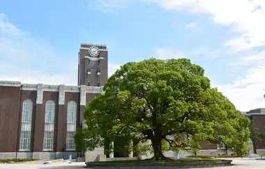 Kyoto Üniversitesi