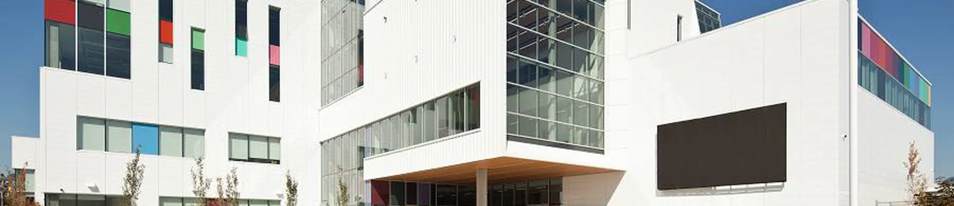 Emily Carr Sanat ve Tasarım Üniversitesi