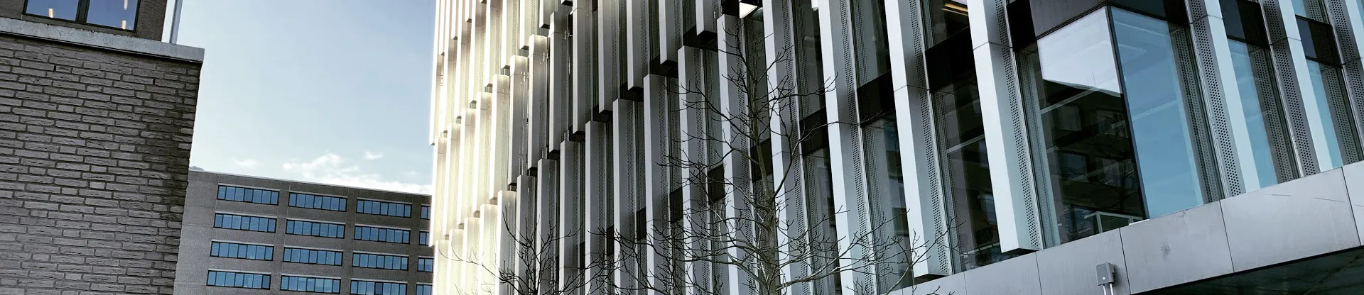 Rotterdam İşletme Fakültesi