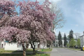 Skierniewice Devlet Meslek Yüksek Okulu