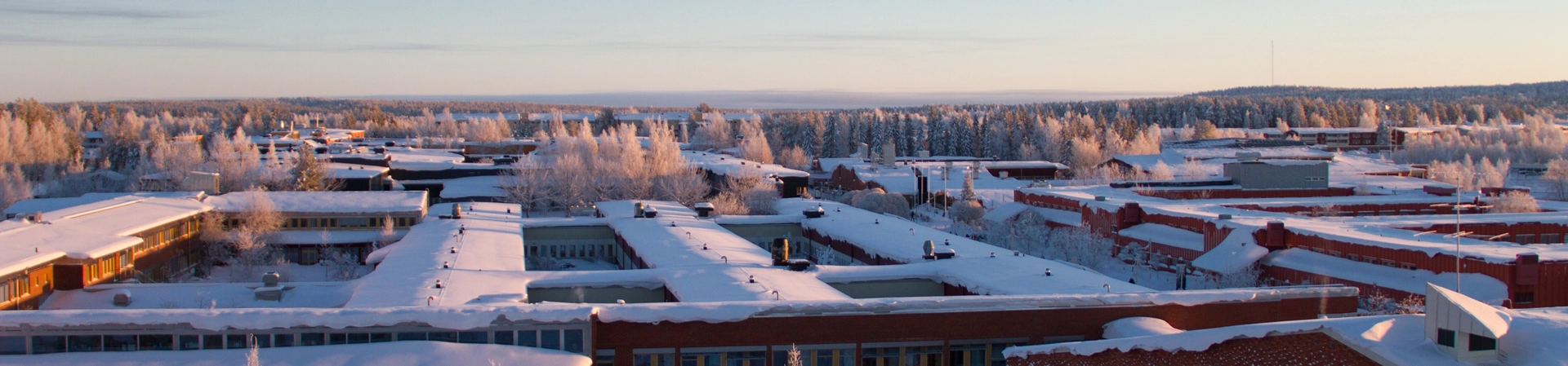 Lulea University of Technology