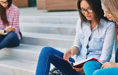 Netkent Üniversitesi