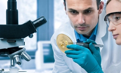 Moleküler Biyoloji ve Genetik Nedir? Ne İş Yapar?