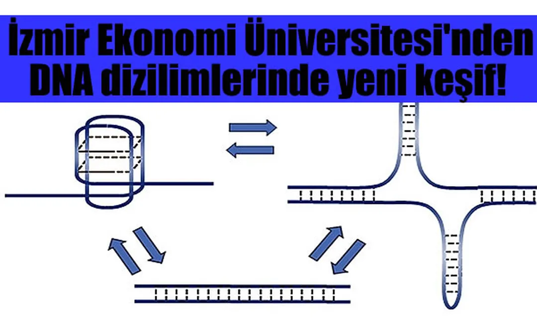 İzmir Ekonomi Üniversitesi'nden DNA dizilimlerinde yeni keşif