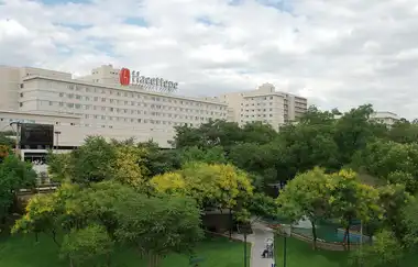 Hacettepe Üniversitesi