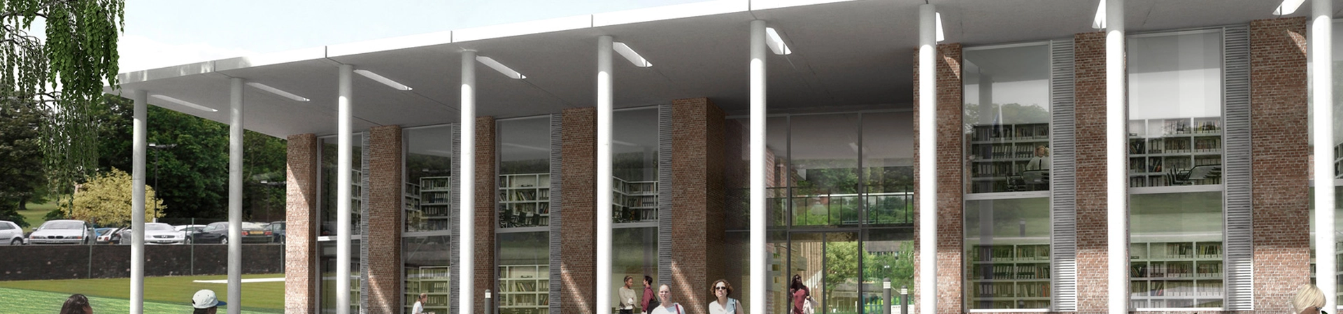 Newman Üniversitesi