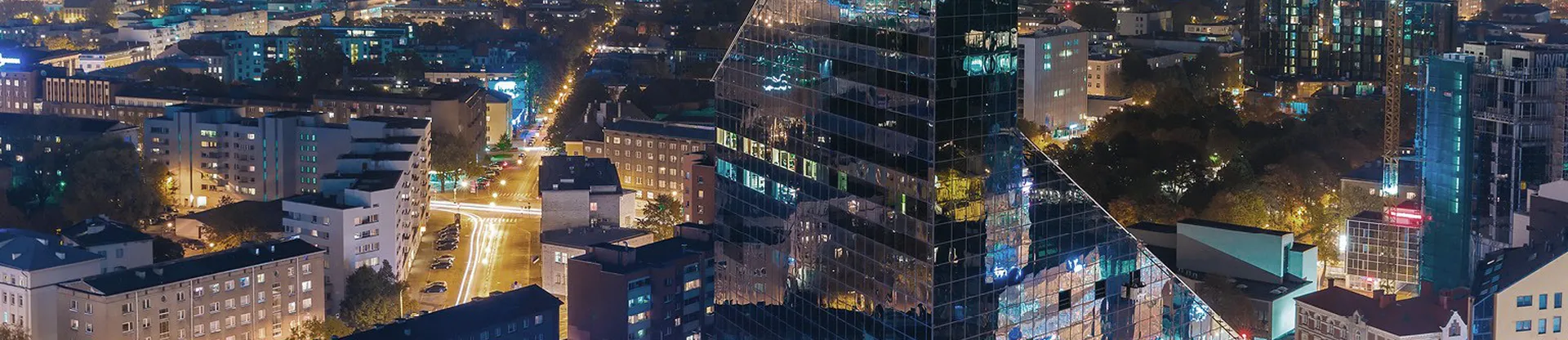 Estonya İşletme Okulu