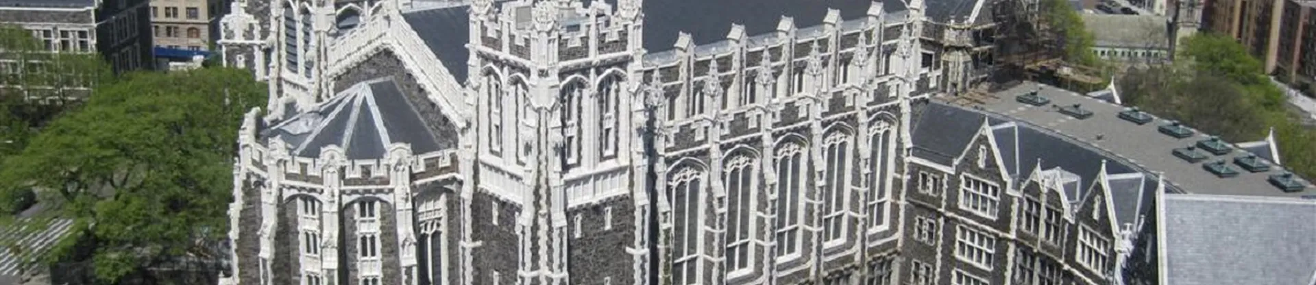 New York Şehir Üniversitesi