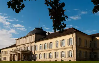 University of Hohenheim