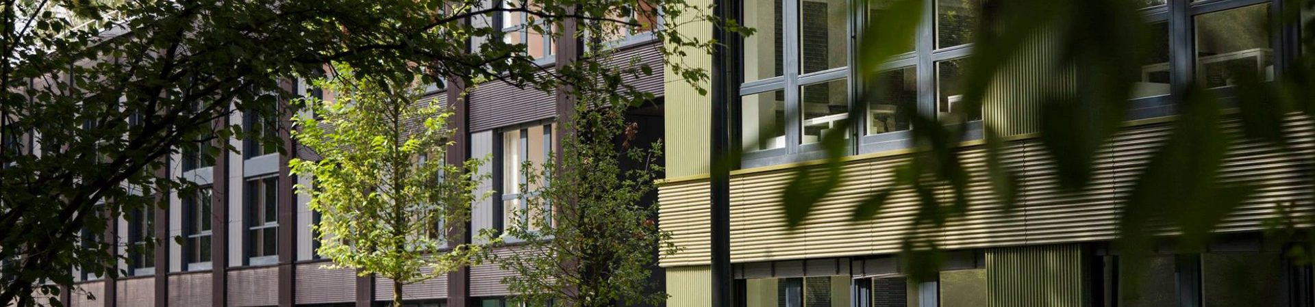 Ecole Centrale Paris