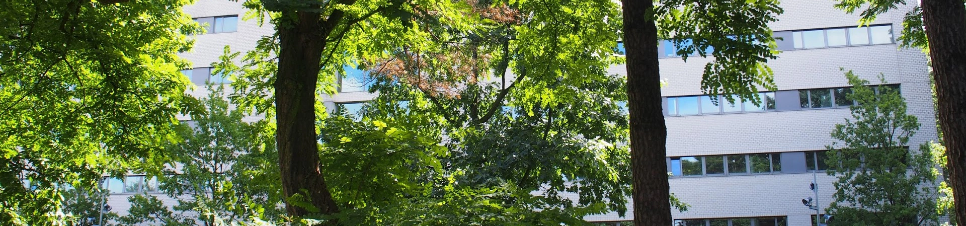 TIAS İşletme ve Toplum Okulu