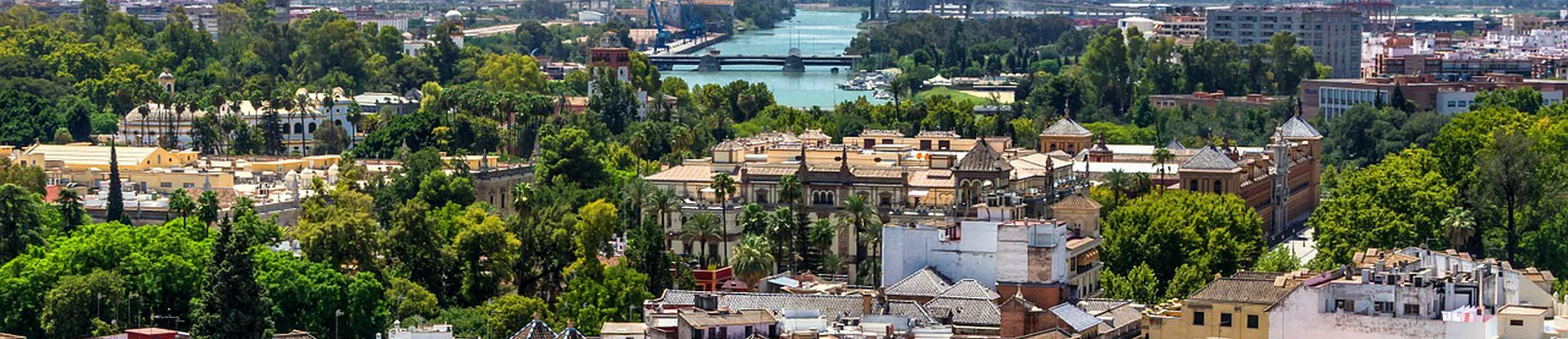 University Pablo De Olavide