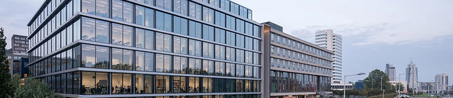 Rotterdam İşletme Okulu