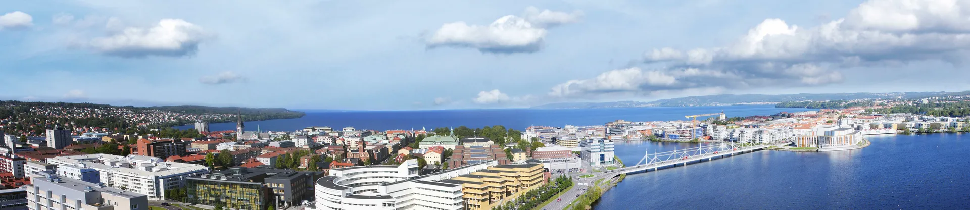 Jönköping University