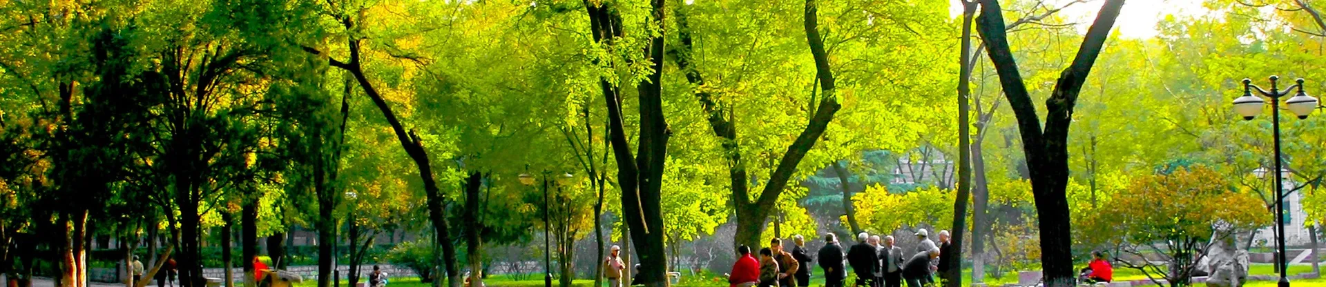 Afyonkarahisar Health Sciences University