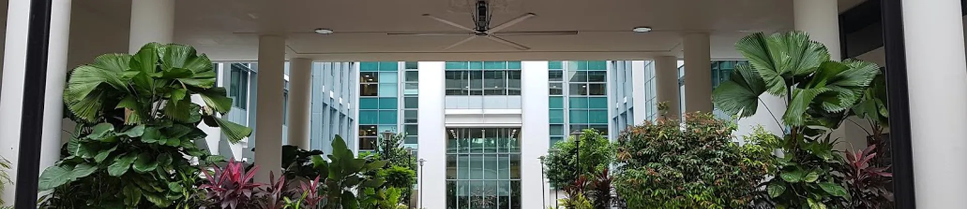 Insead Asia Campus