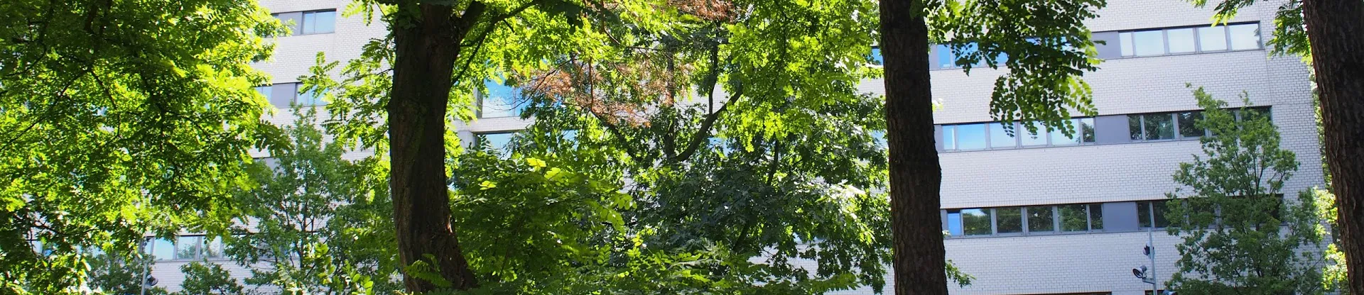 TIAS School for Business and Society