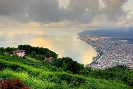 Ordu