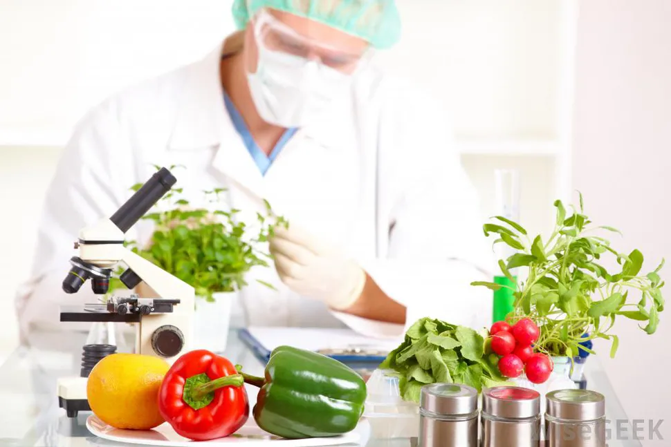 Gıda Mühendisliği Okuyanları Hayattan Soğutan 5 tespit
