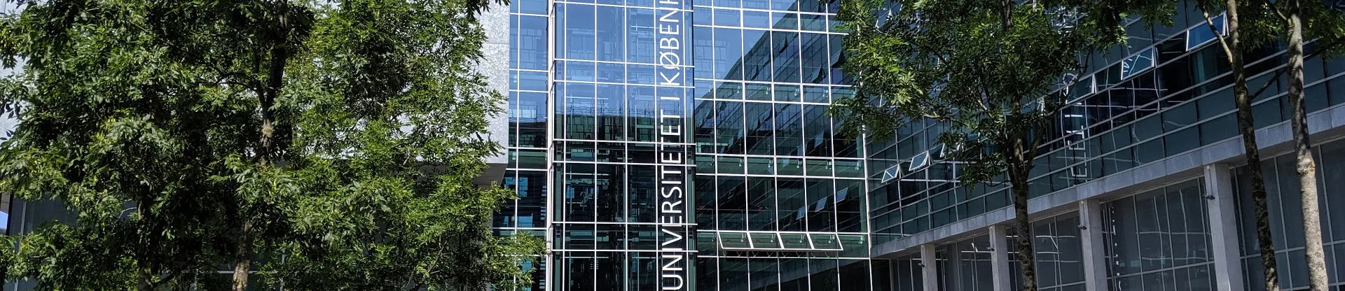 It University of Copenhagen