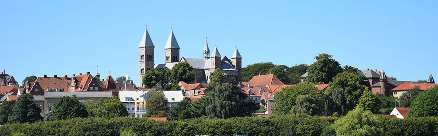 Viborg
