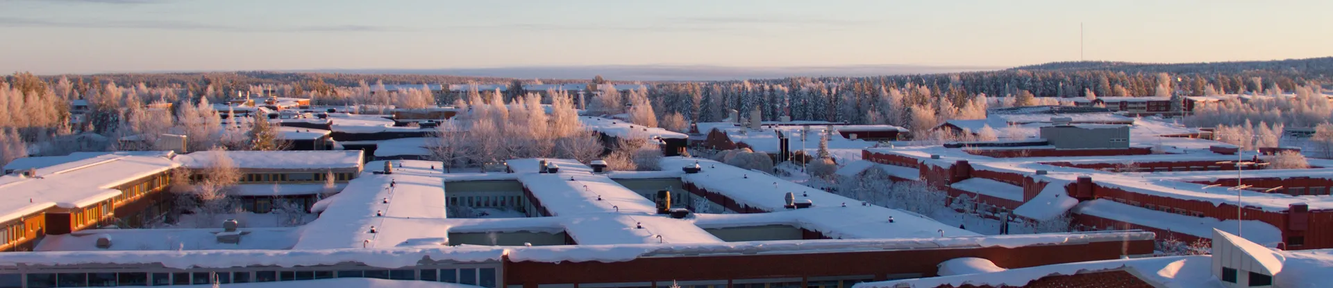 Lulea University of Technology