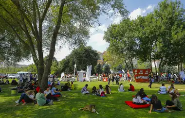 İstanbul Bilgi University