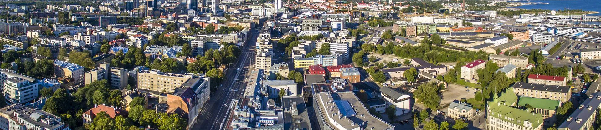 Tallinn Üniversitesi