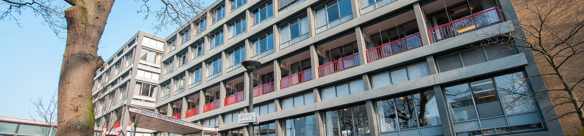 Hotelschool the Hague Hospitality Business School