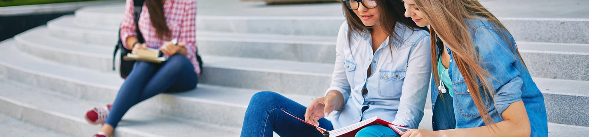 Netkent Üniversitesi