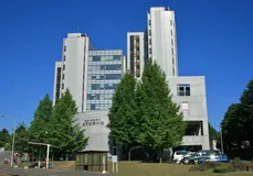 Tohoku Üniversitesi