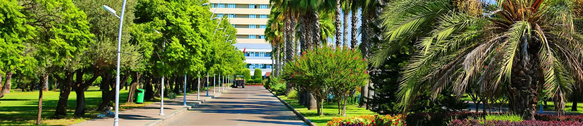 Akdeniz University