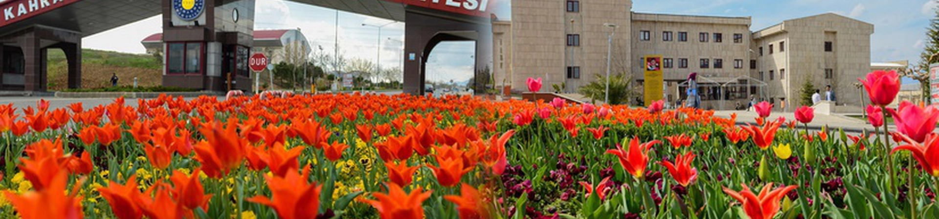 Kahramanmaraş Sütçü İmam Üniversitesi