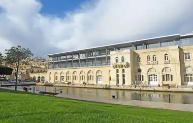 American University of Malta