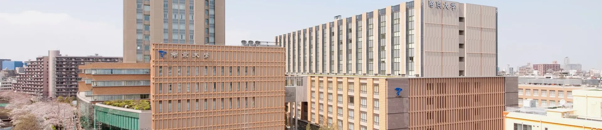 Teikyo Üniversitesi