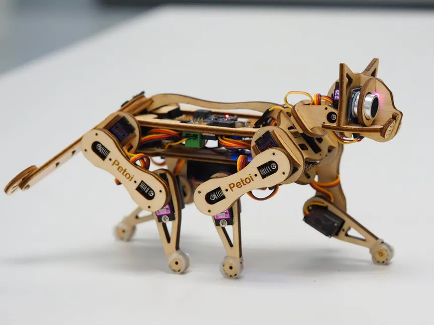 Herkesin Kolayca Kodlayabileceği Robot Bir Kedi: Nybble