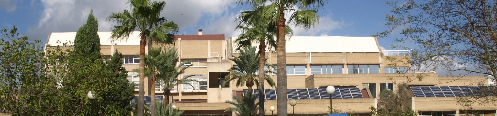 University of the Balearic Islands