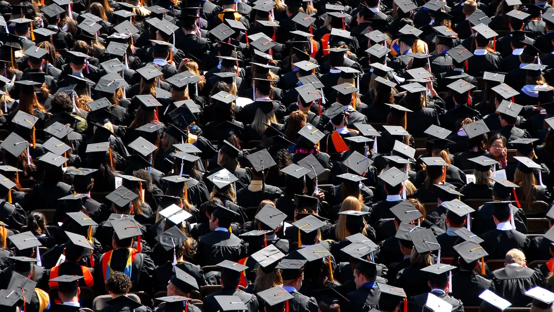 Top 5 Popular Master's Degrees In The World